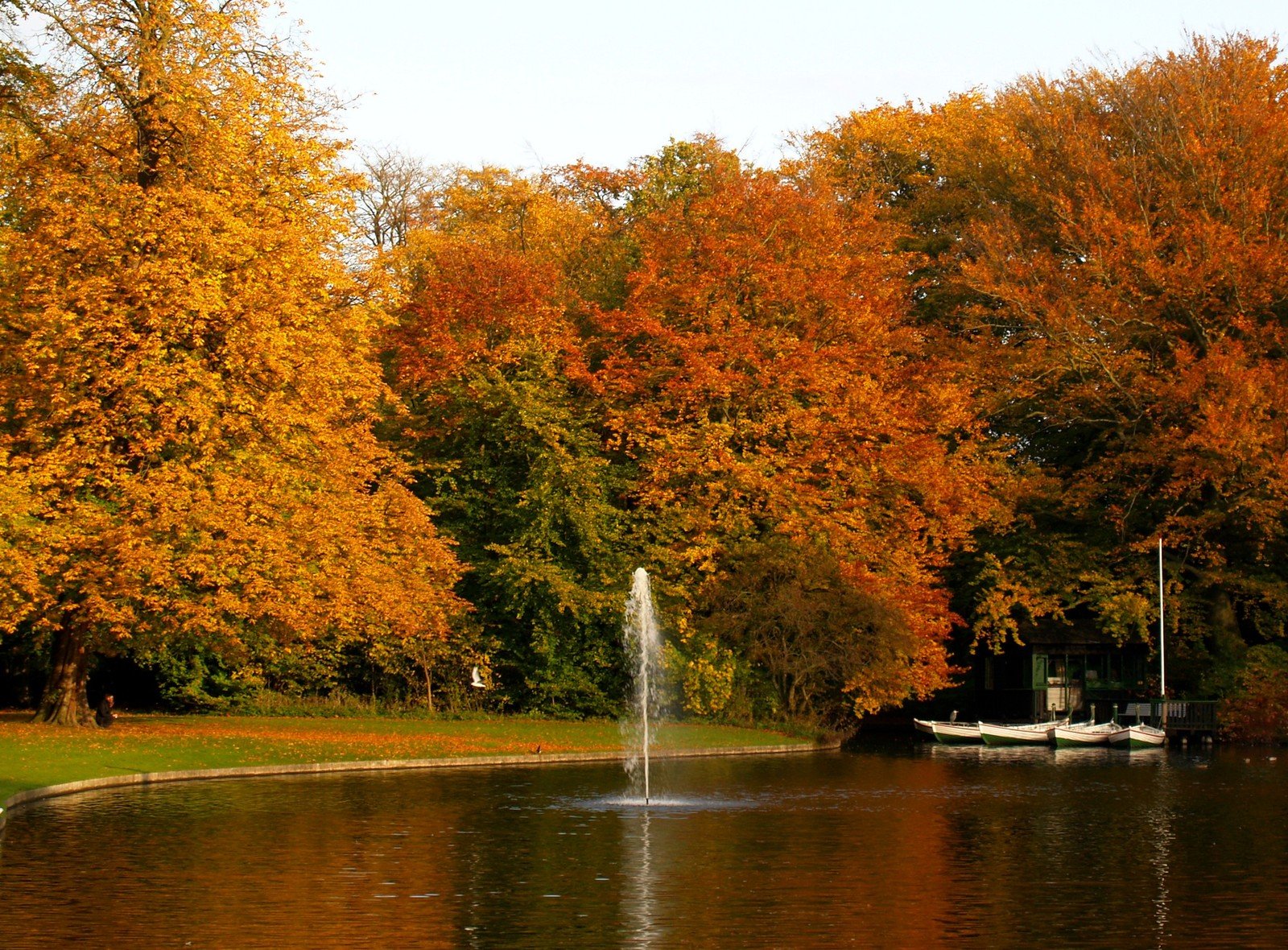 a pond in the fall with orange leaves on it