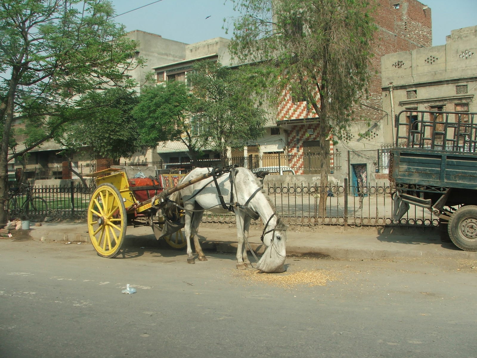 horse pulling cart sitting in front of a building