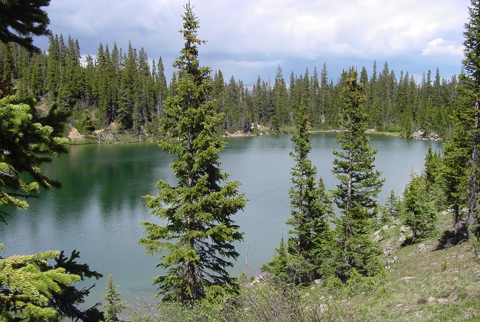 an alpine lake surrounded by green trees in the wilderness
