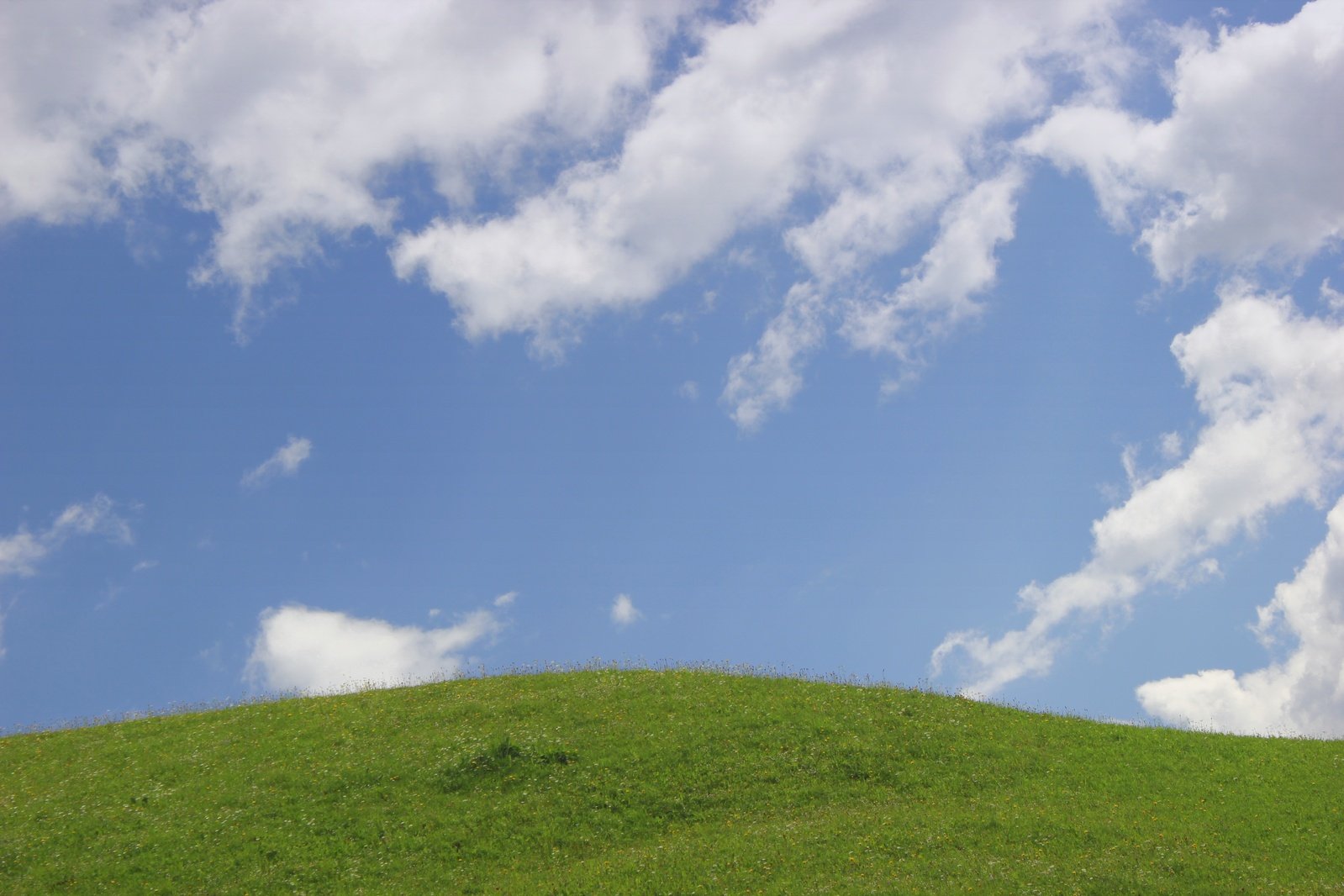 a large grassy field with a large kite in the sky