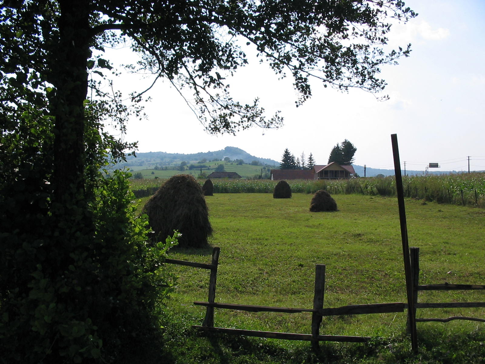 bales in a pasture that are being mowed