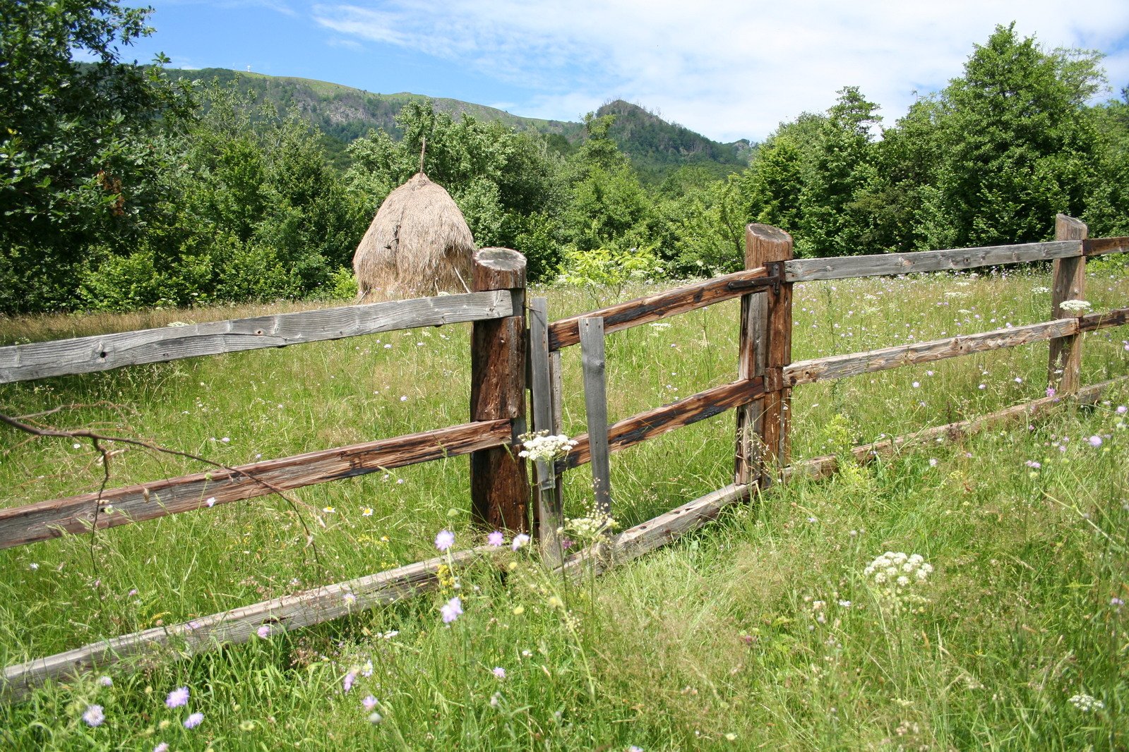 an old farm gate with an thatch in the background