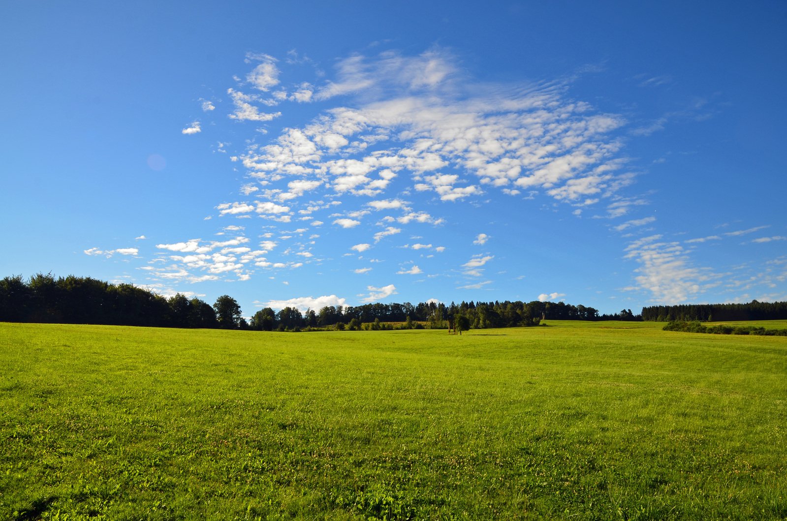 the sky is really blue and clear for this pasture