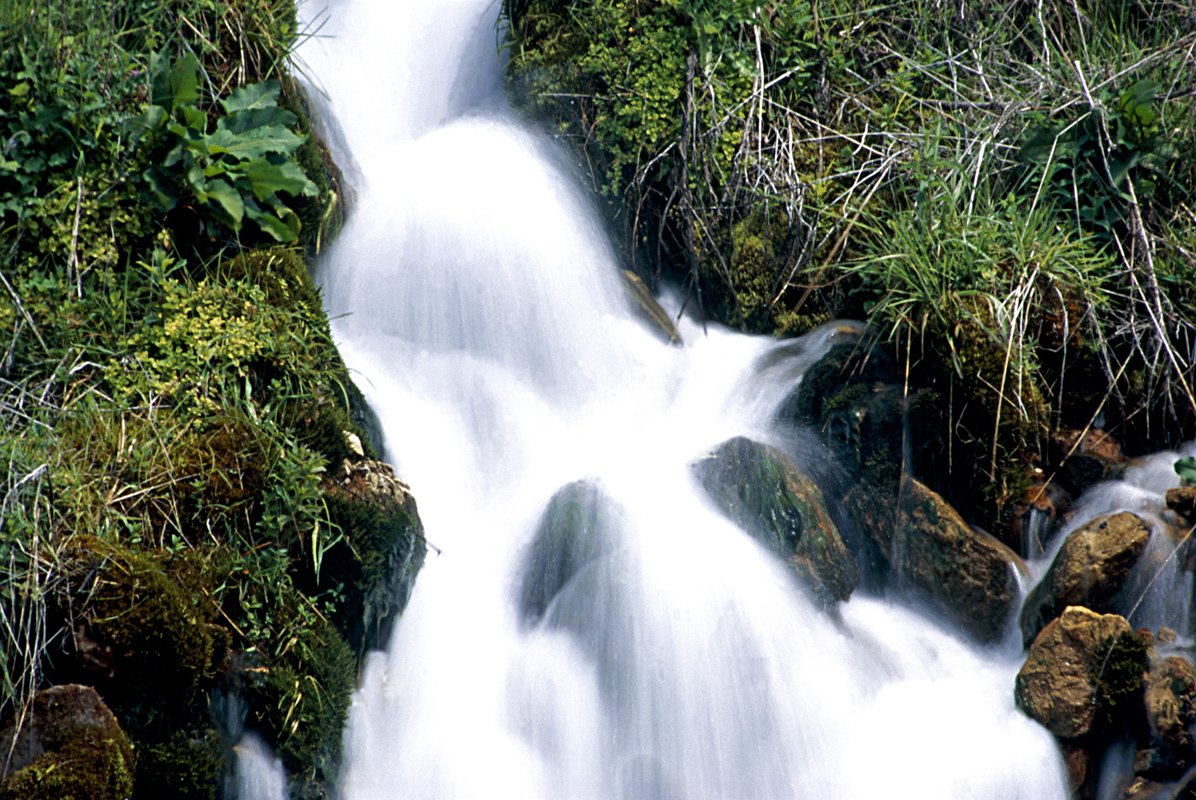 a waterfall with moss and other plants moving water