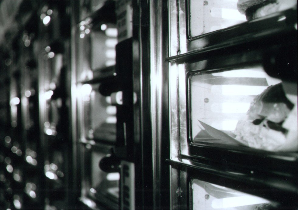 a man looking out the window of an old time clock