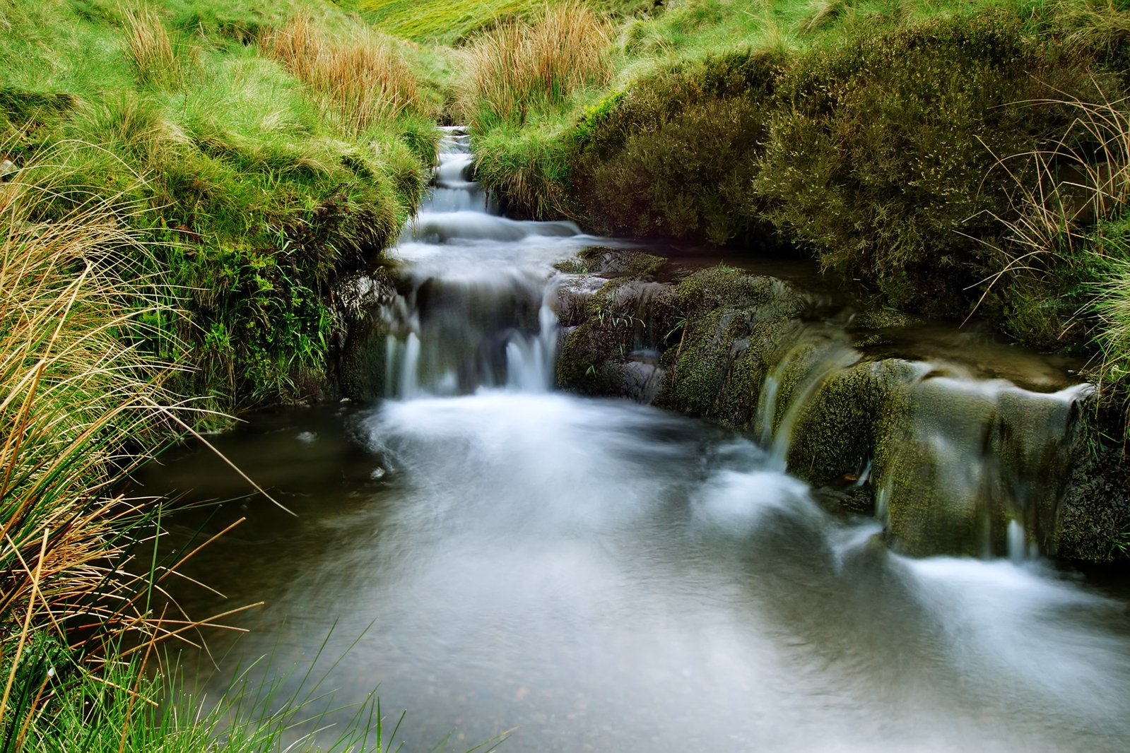 the stream in the grass is cascading with water