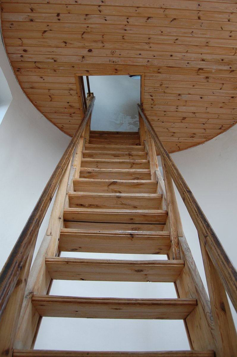 the ladder has wooden steps and is made out of logs