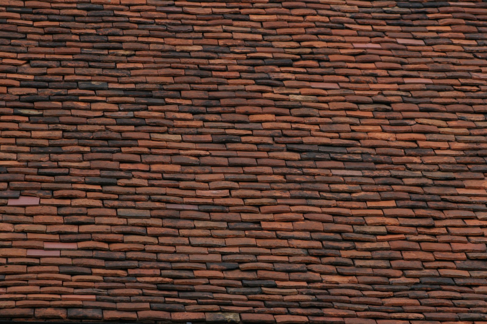 an animal standing on top of a red roof