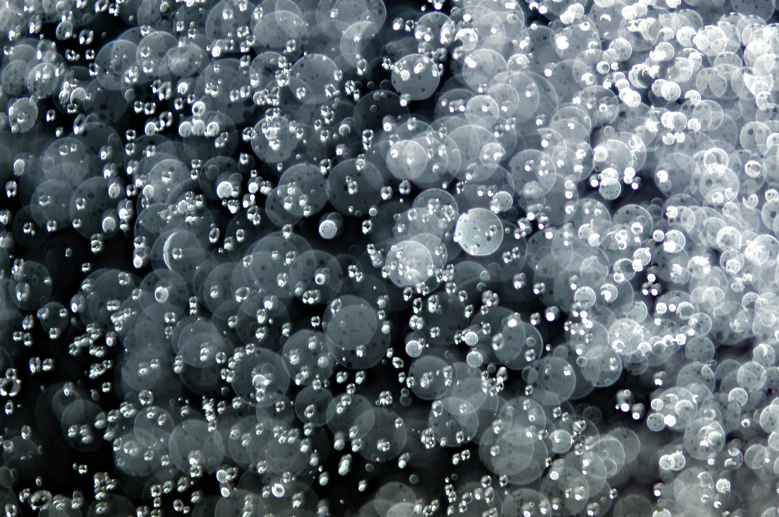 a lot of bubbles with black and white background