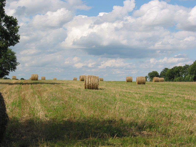 hay bales sit in a large field under a cloudy sky