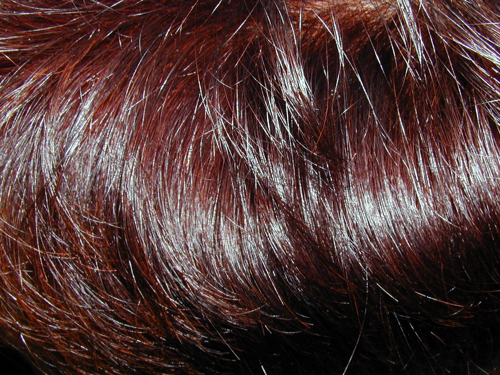 a woman's hair with bright red streaks on top of it