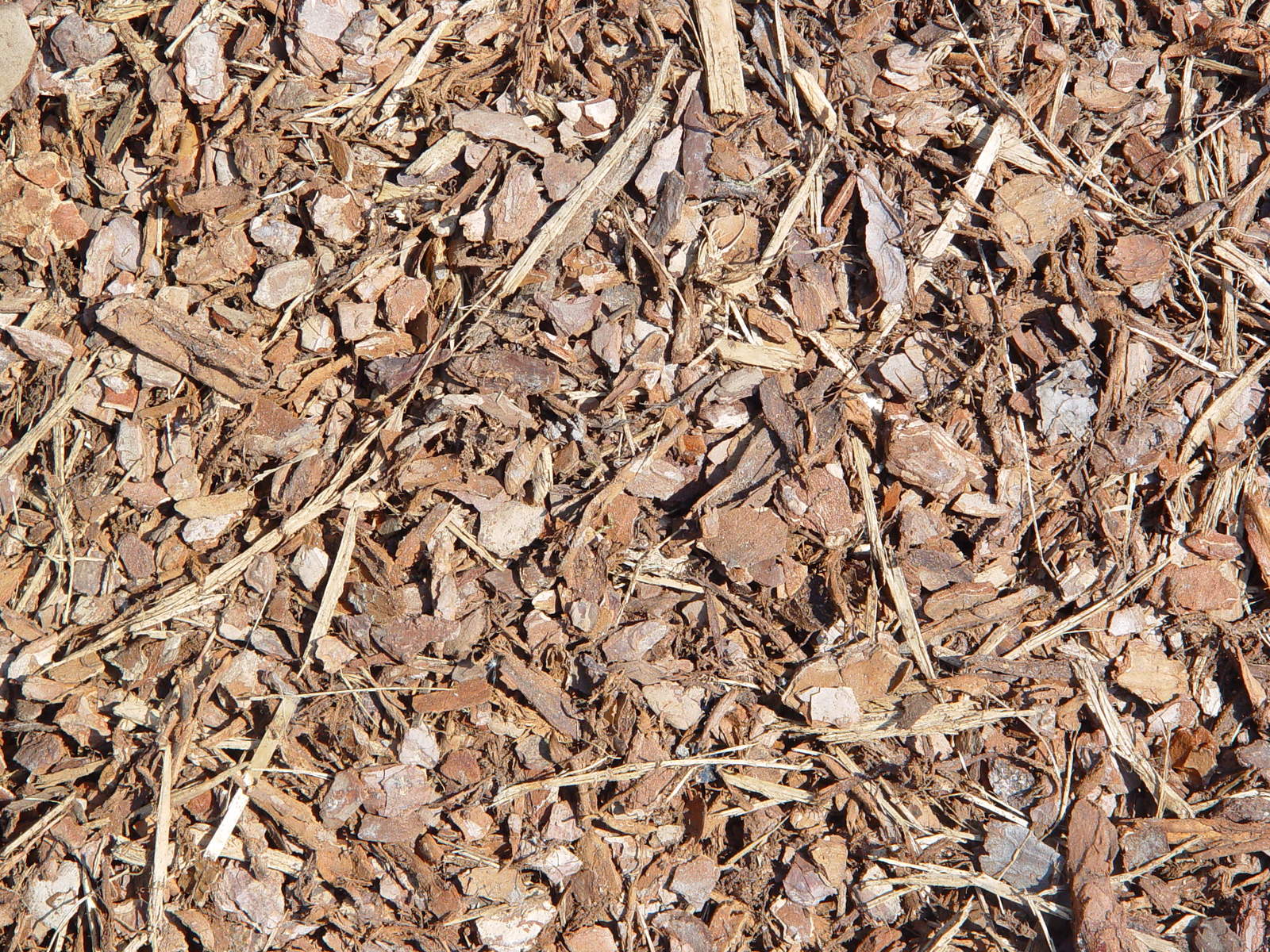 dried up ground with little leaves and stones