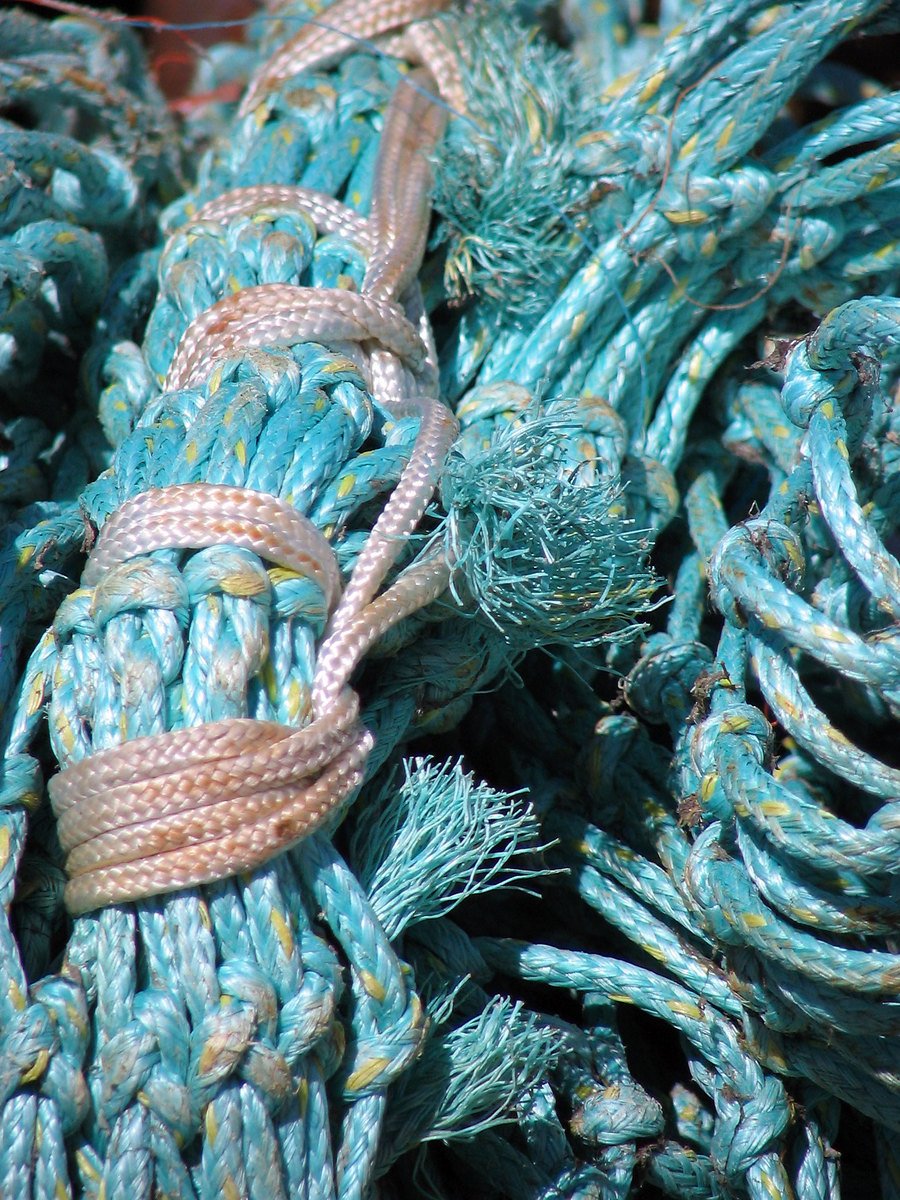 many blue ropes wrapped together and some have holes in them