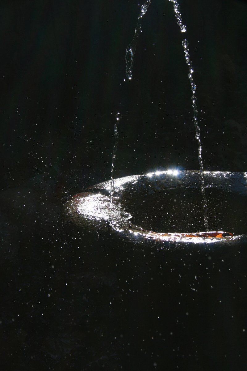 a fountain spewing water into the air