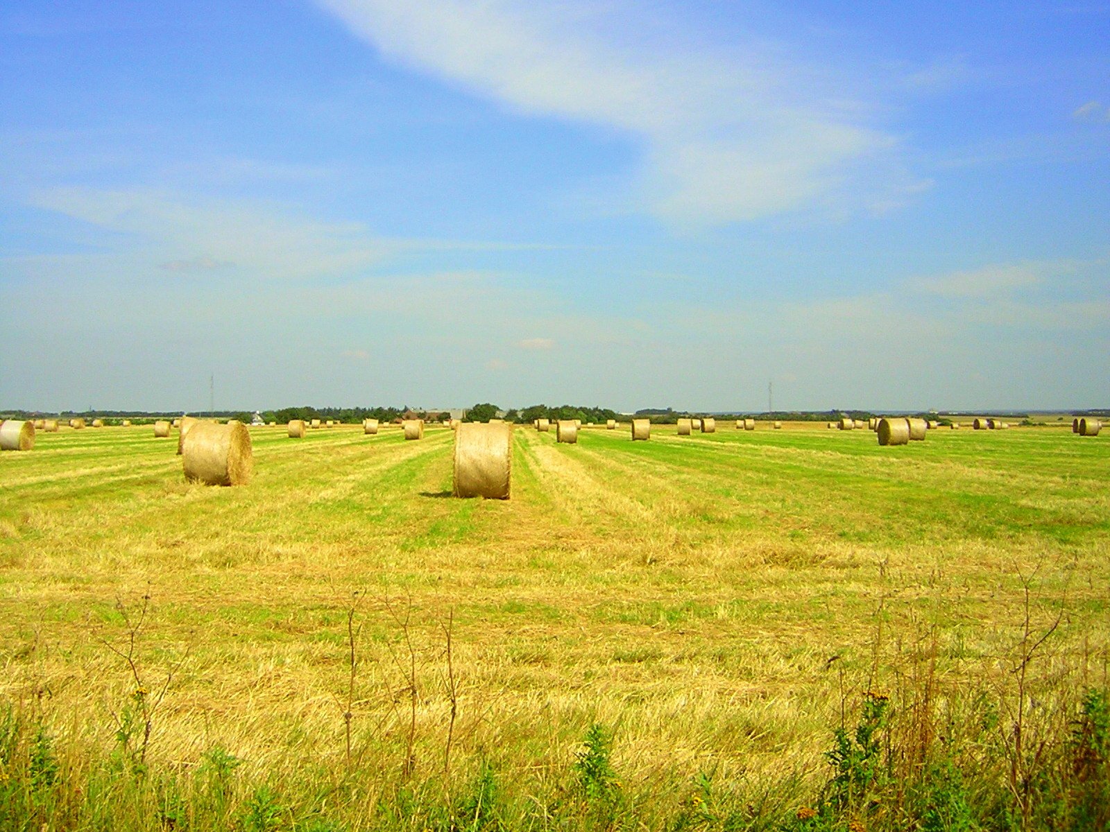 a field with bales of hay and a few buildings