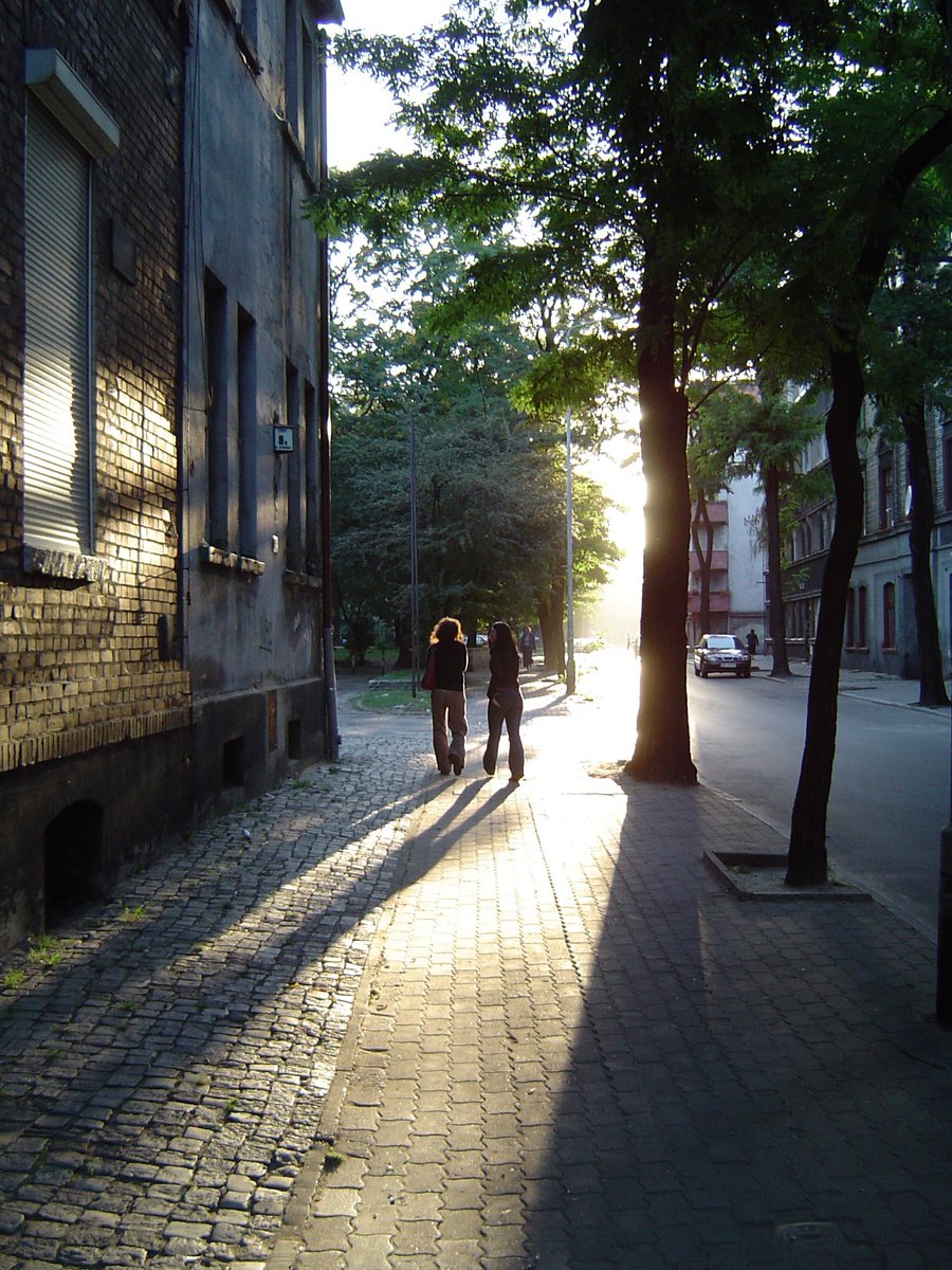 view looking up from underneath of a street