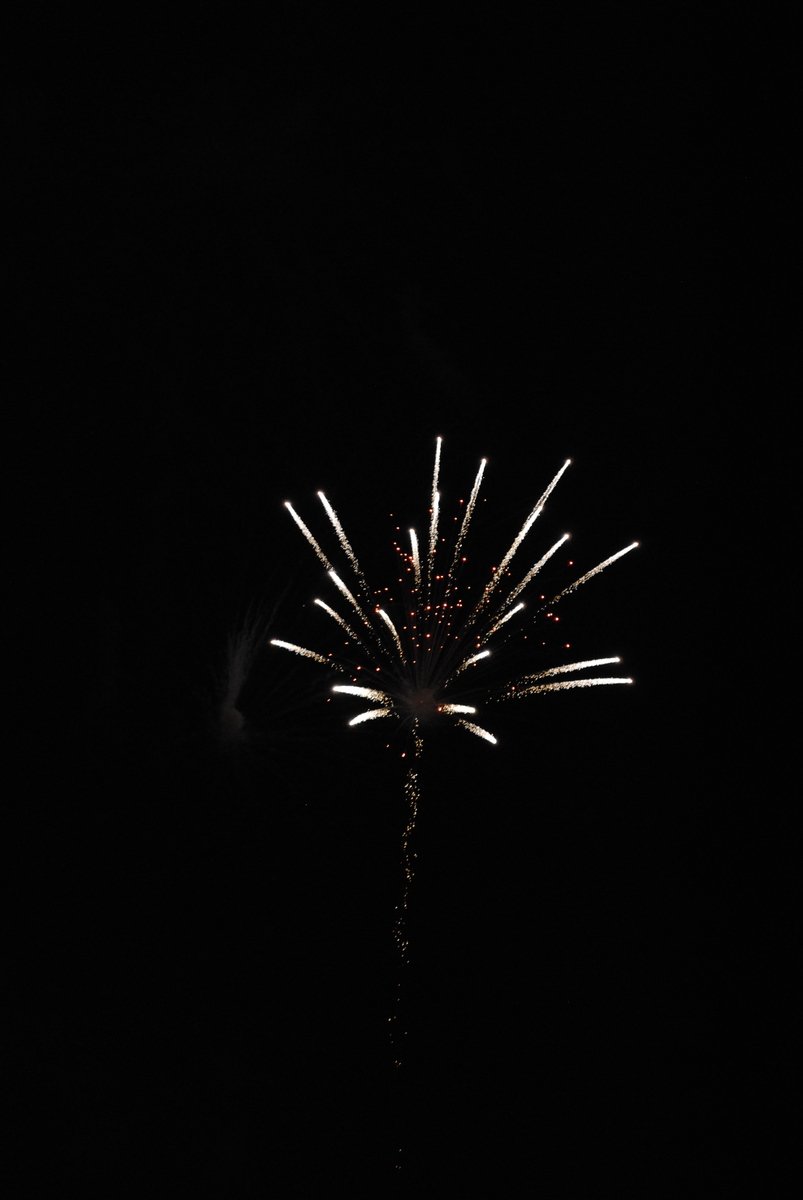 fireworks are lit up in the dark night sky