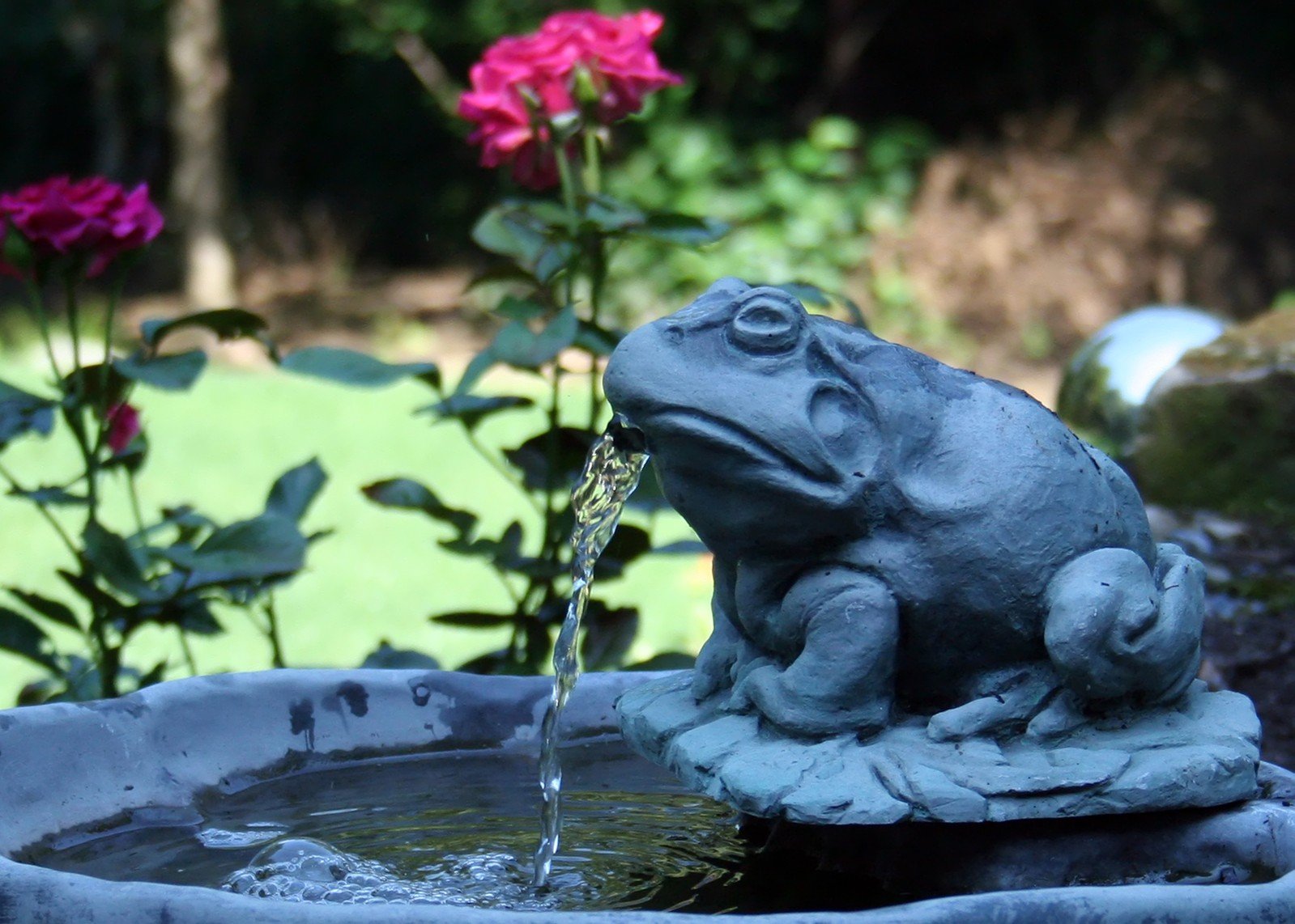 a large gray frog sitting on a planter