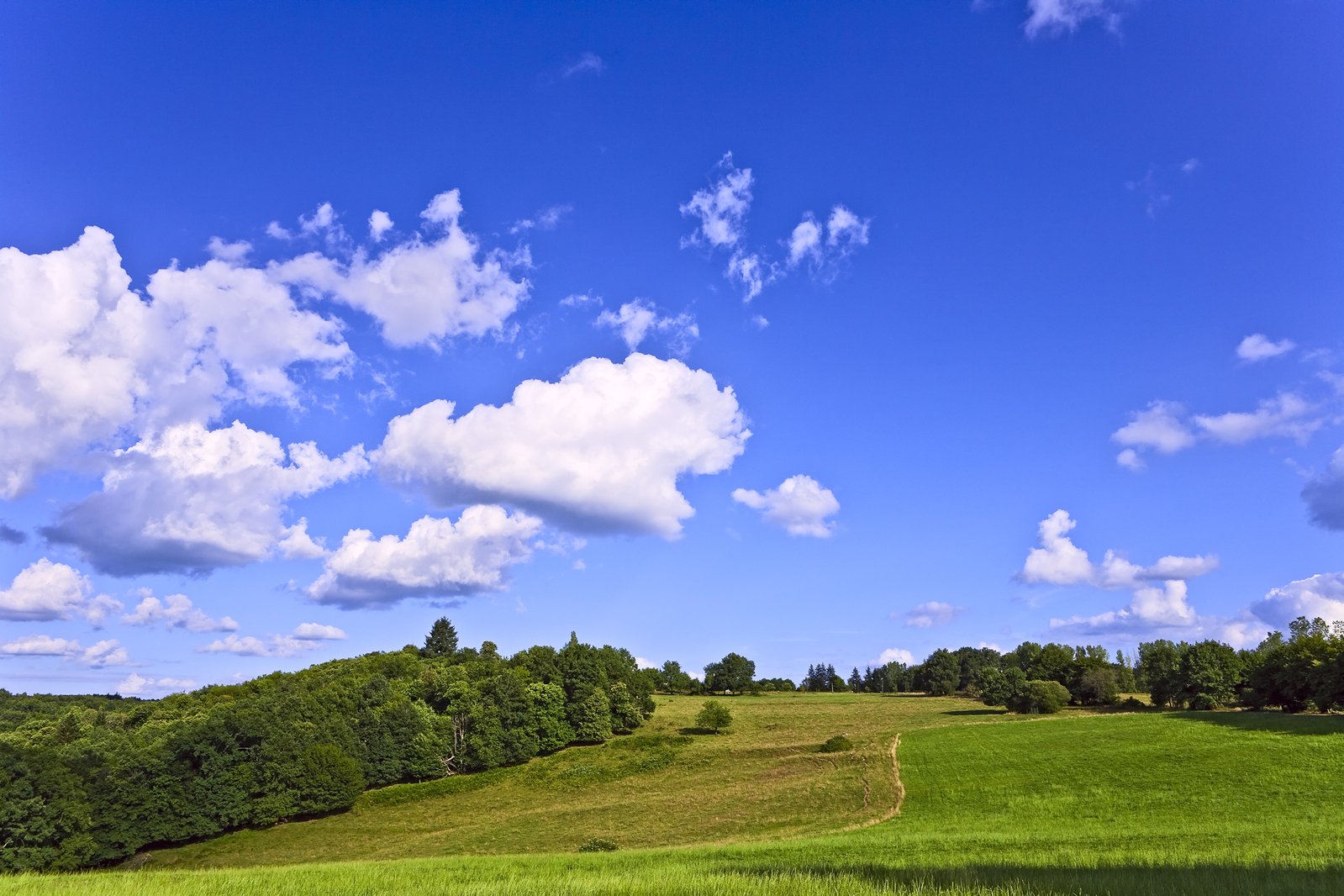green hill on sunny day with blue sky