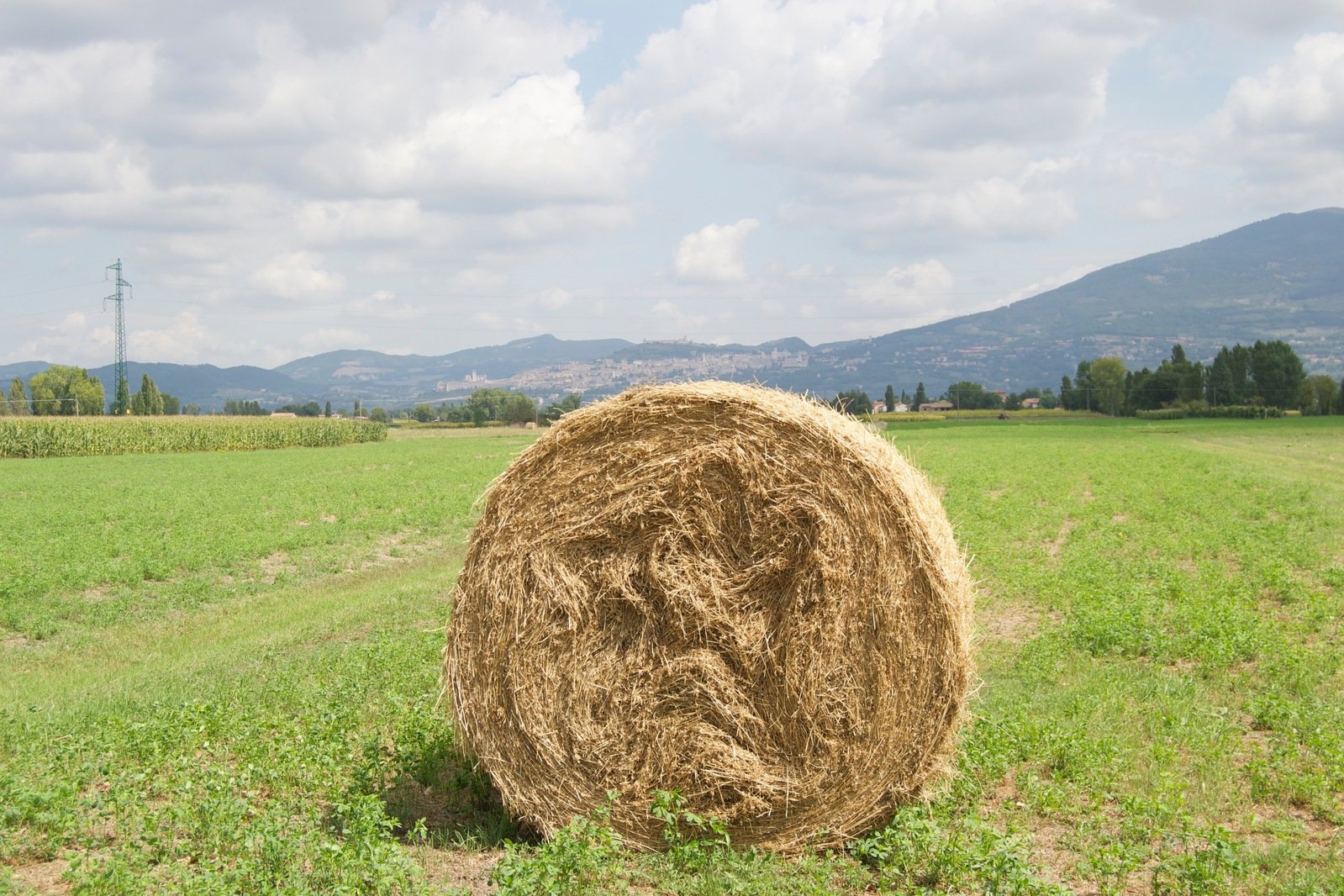 the hay bale is on the farm field