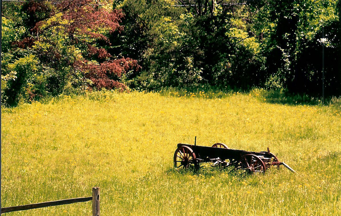 an old, rusty farm wagon in the grass near the woods