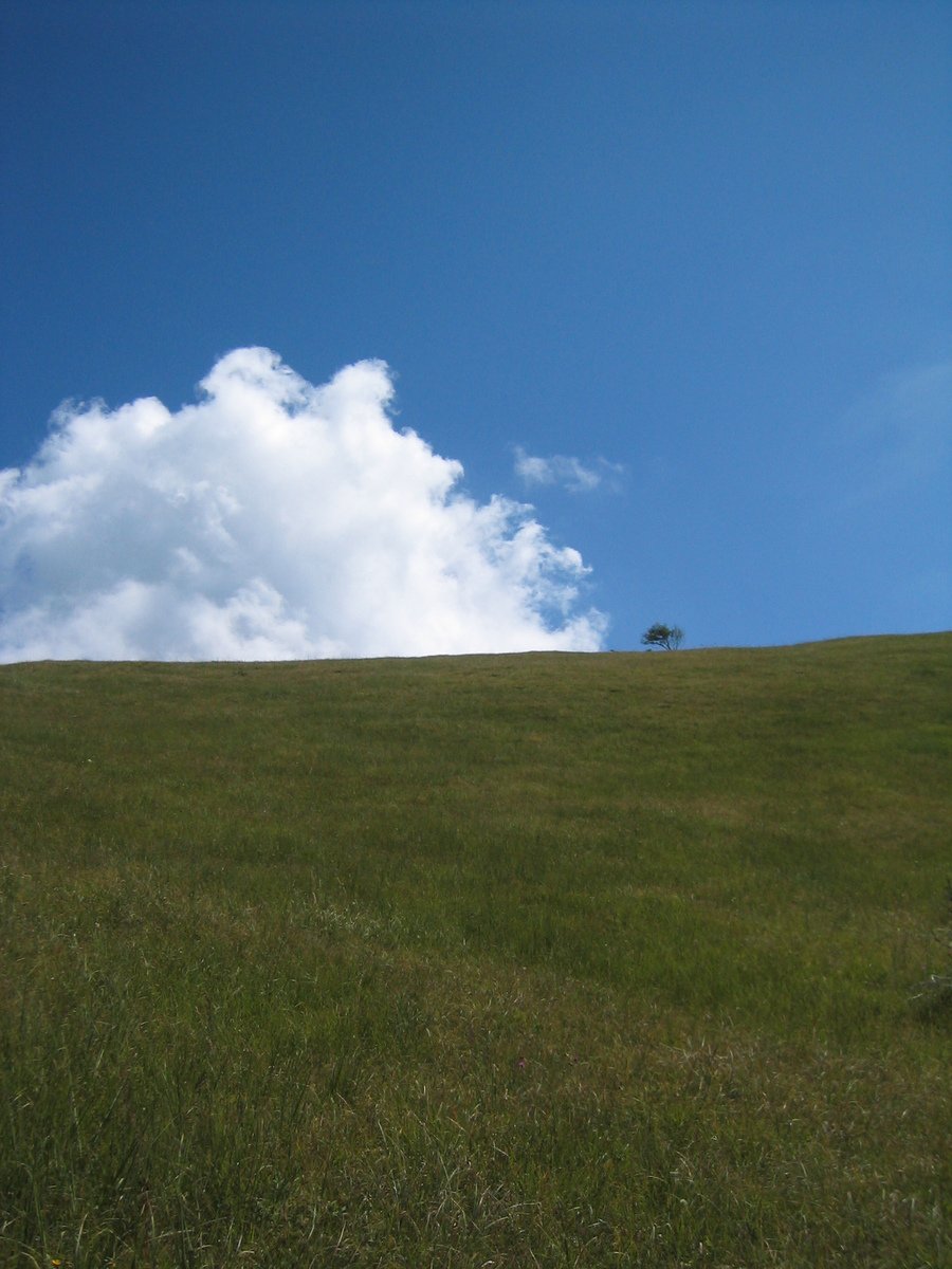 the green grass is very high up on the hillside