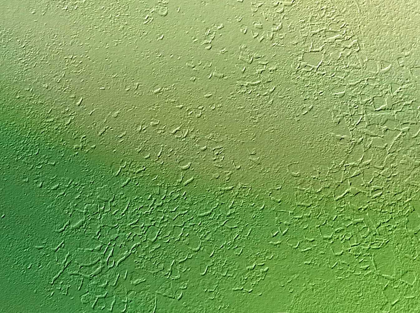 a green wall with some very textured on it