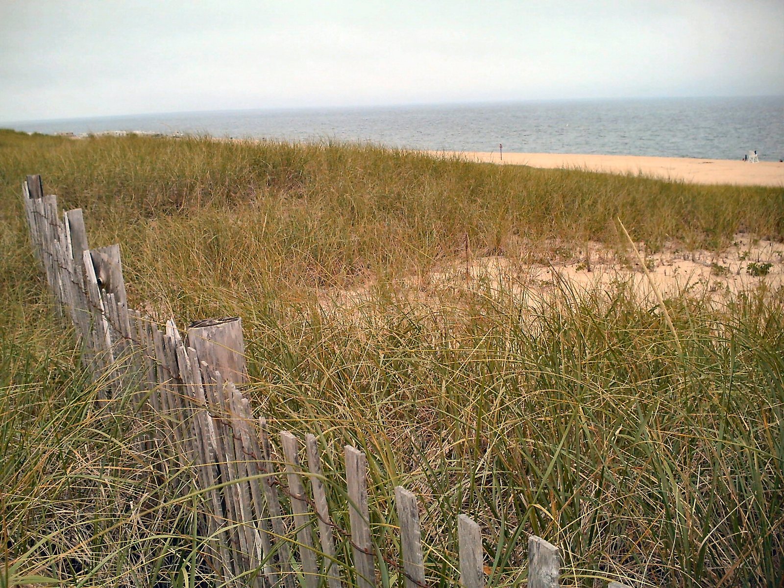 a wooden fence next to tall grass and the ocean