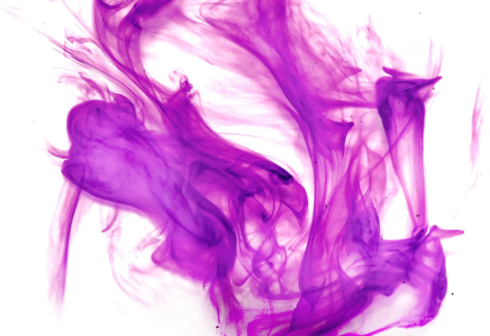 purple ink is swirly on top of a white background