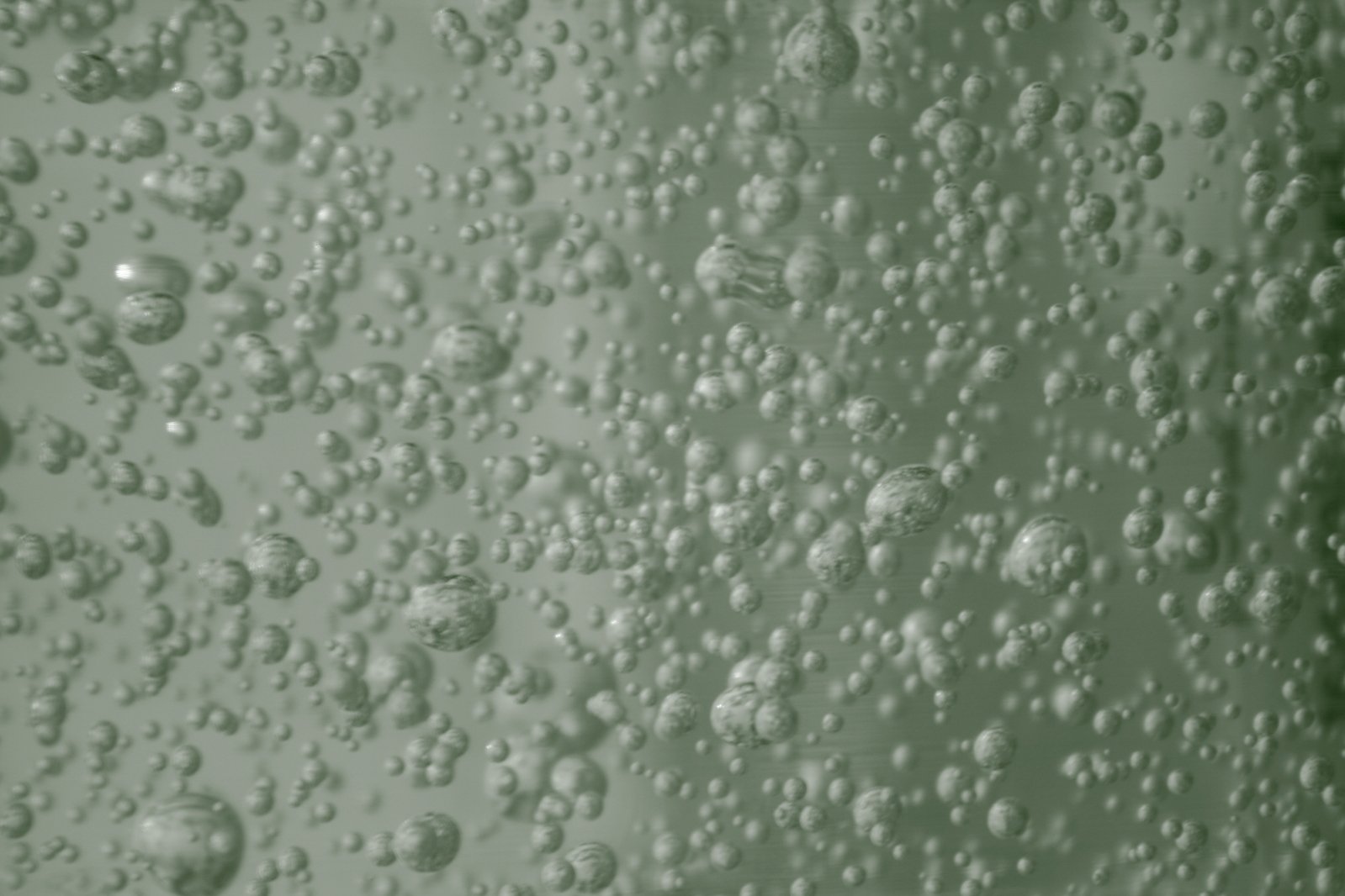 many bubbles of water are seen in a green color