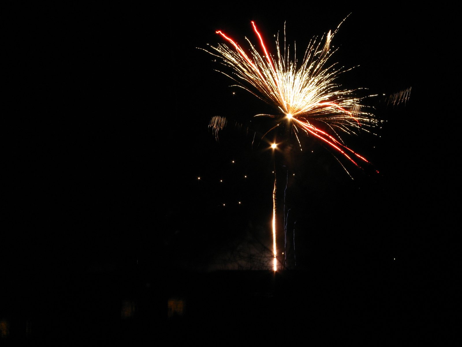 a firework is lit up in the dark sky