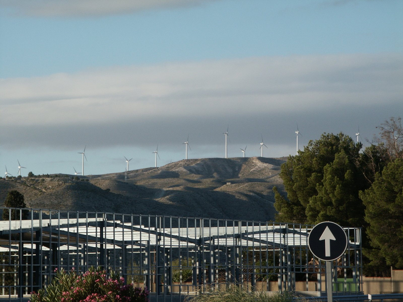 there are several wind mills in the background