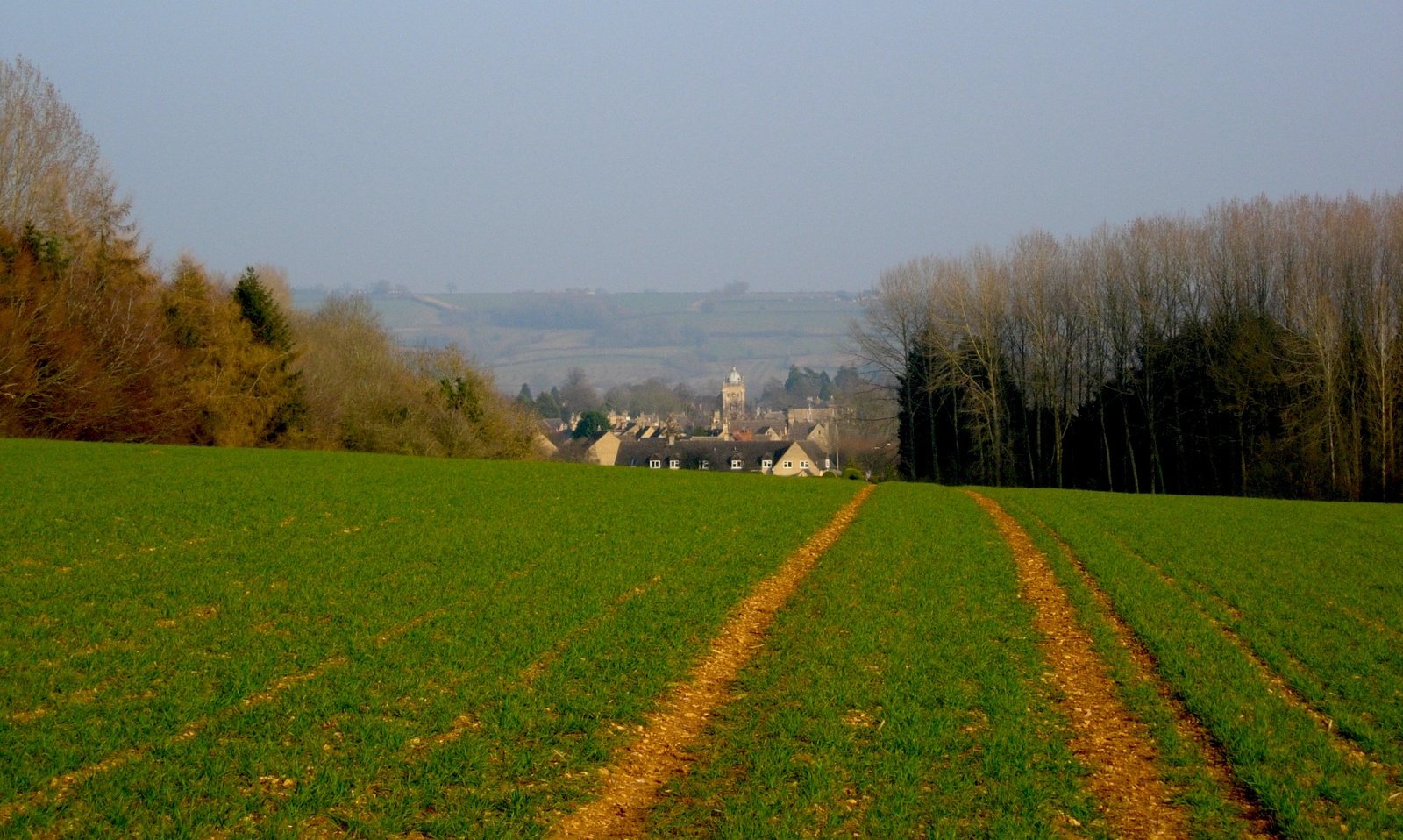 a large field with several trees near by