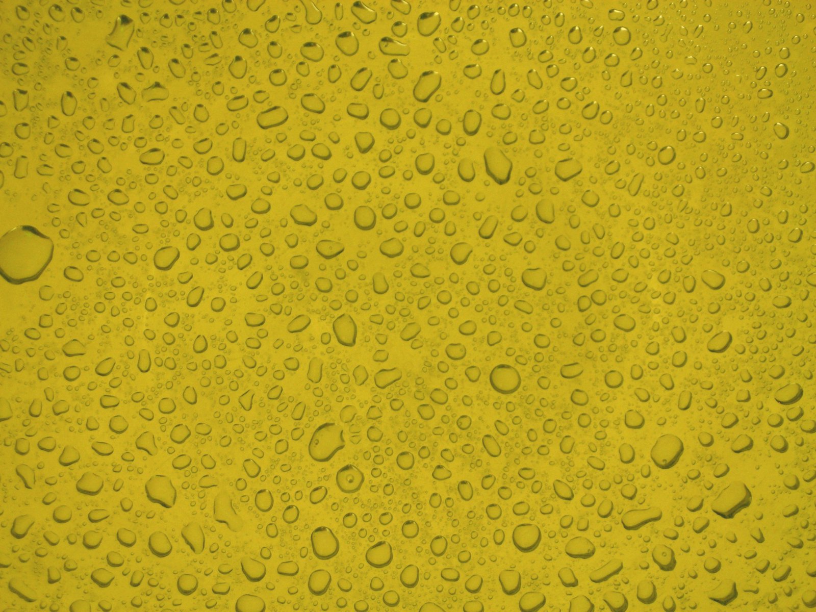 an extreme close up image of water drops