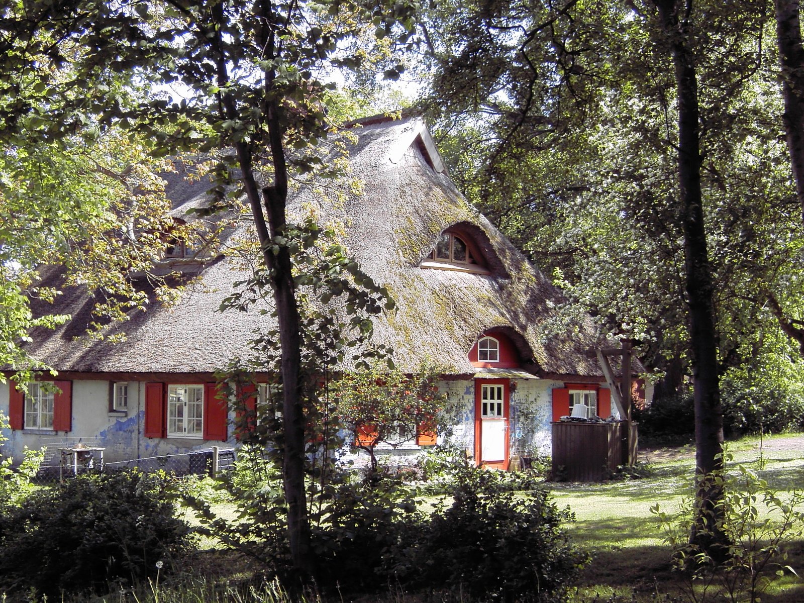 a beautiful house in the woods, surrounded by trees