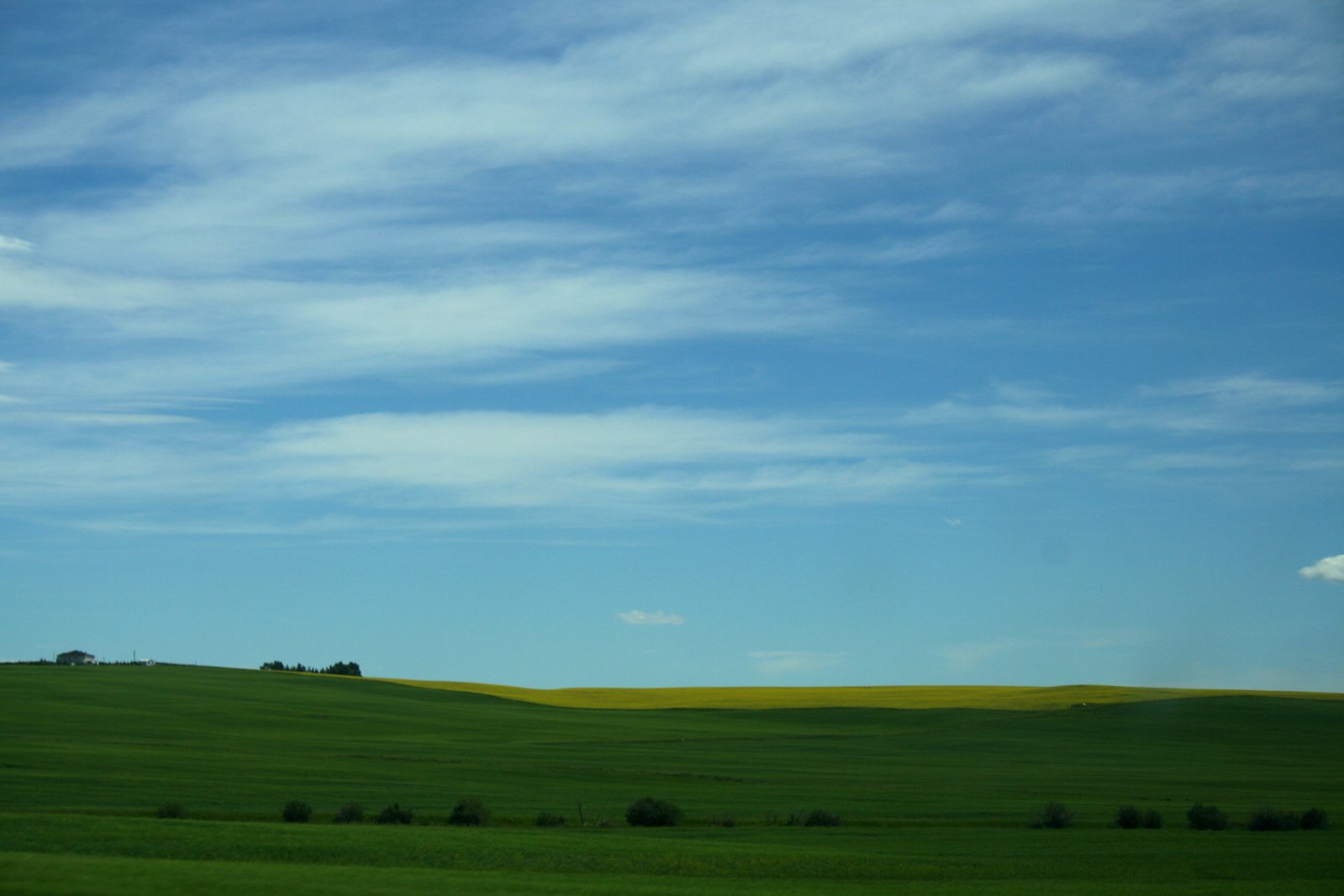 green field under blue sky with clouds