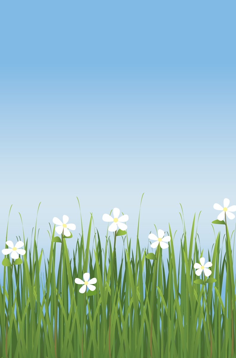 a green meadow with white flowers and blue sky in the background