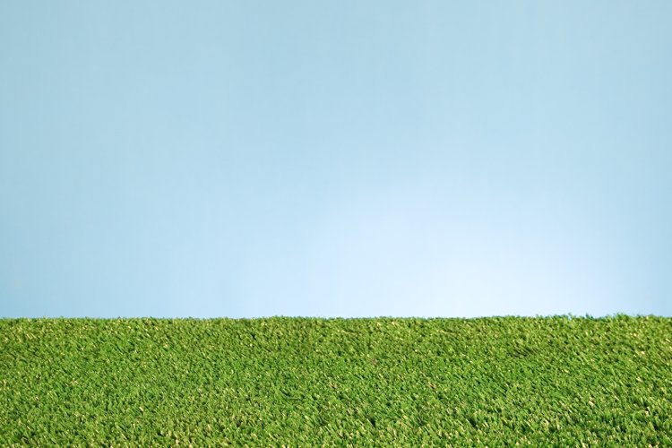 a green grassy hillside with a red stop sign