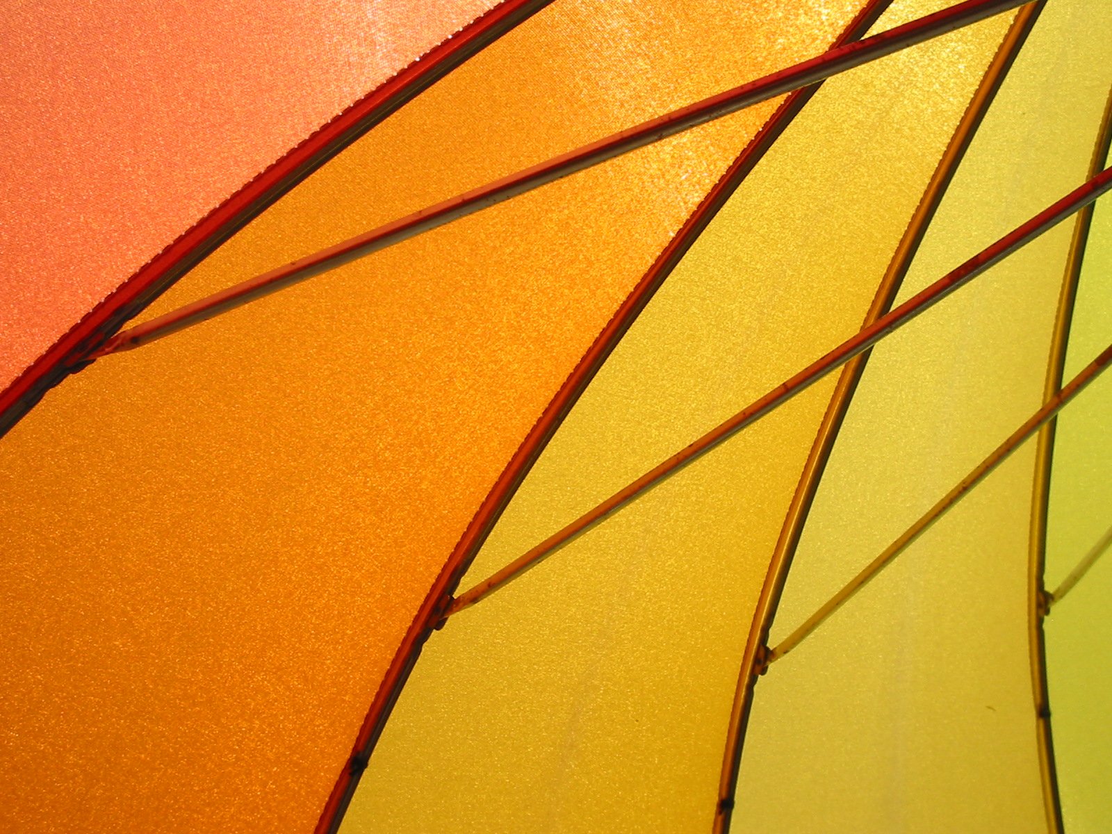 closeup pograph of an umbrella that has many different colored panels
