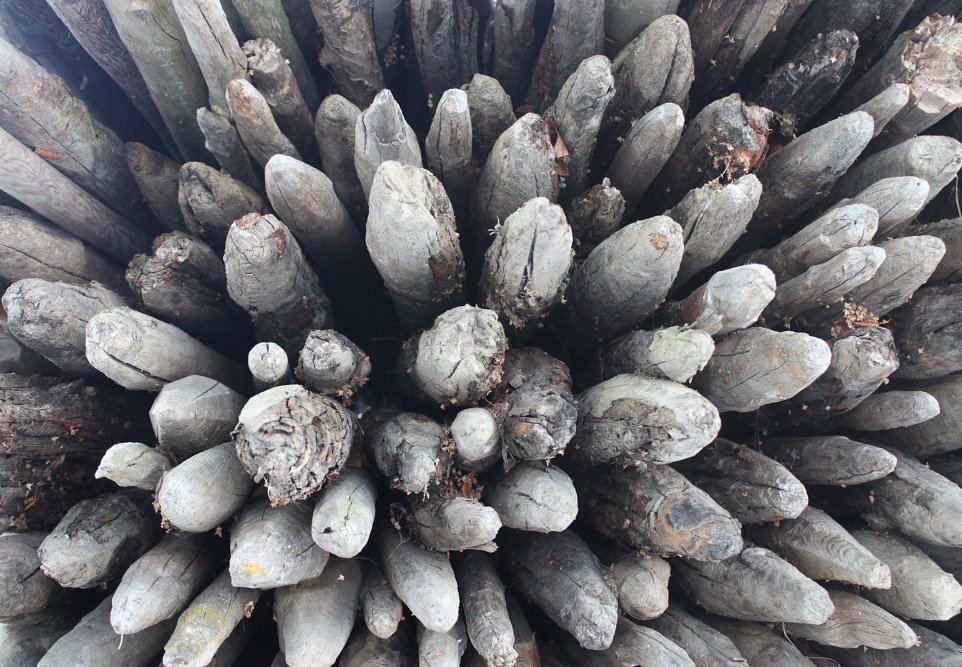 a pine cone is covered in wood planks