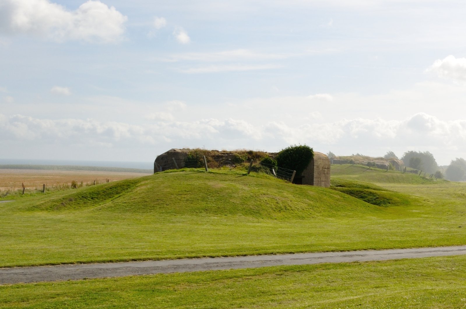 a large mound with grass covering it