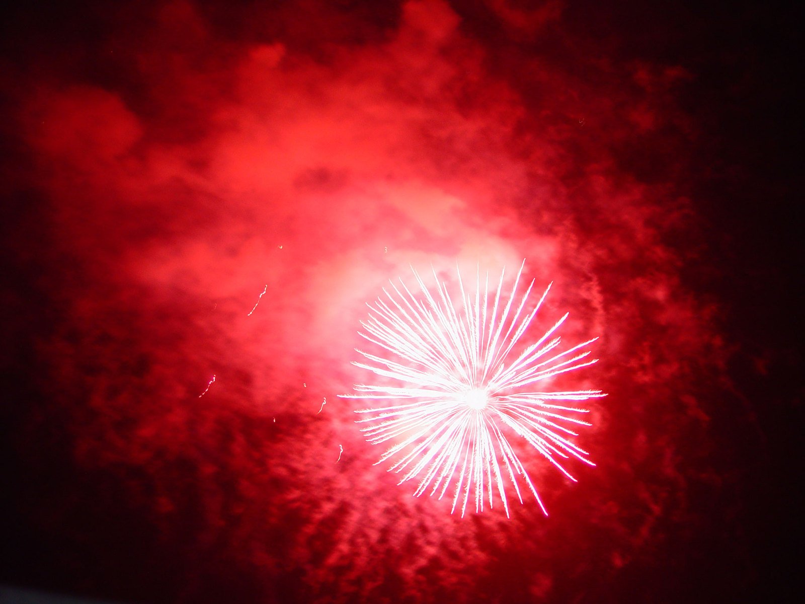 red fireworks in the sky with a black background