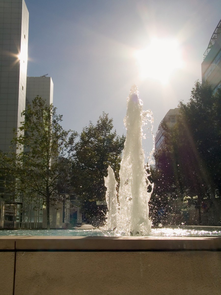 a water fountain spouting out into the sun with trees on either side