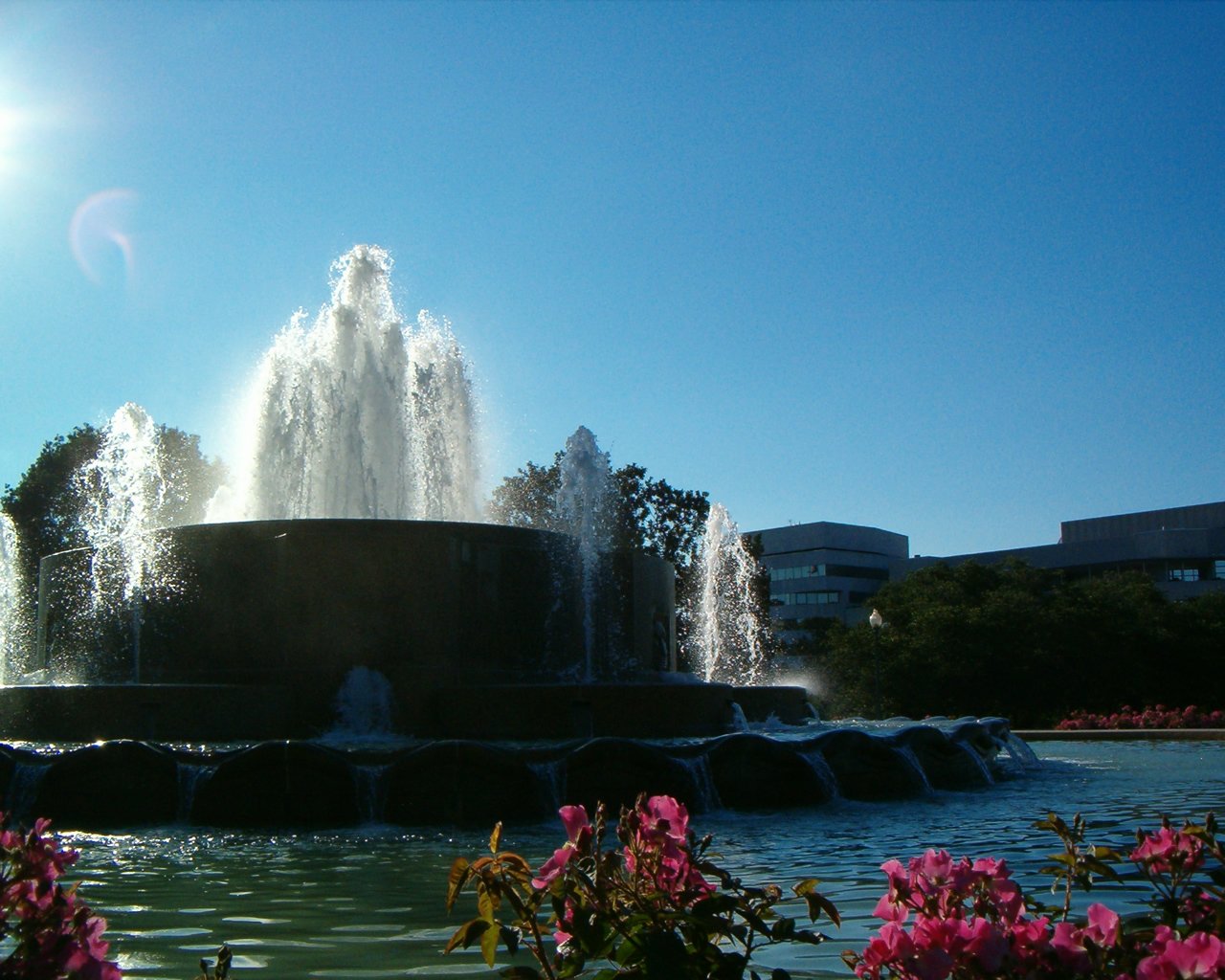 colorful flowers surround a water fountain in the city