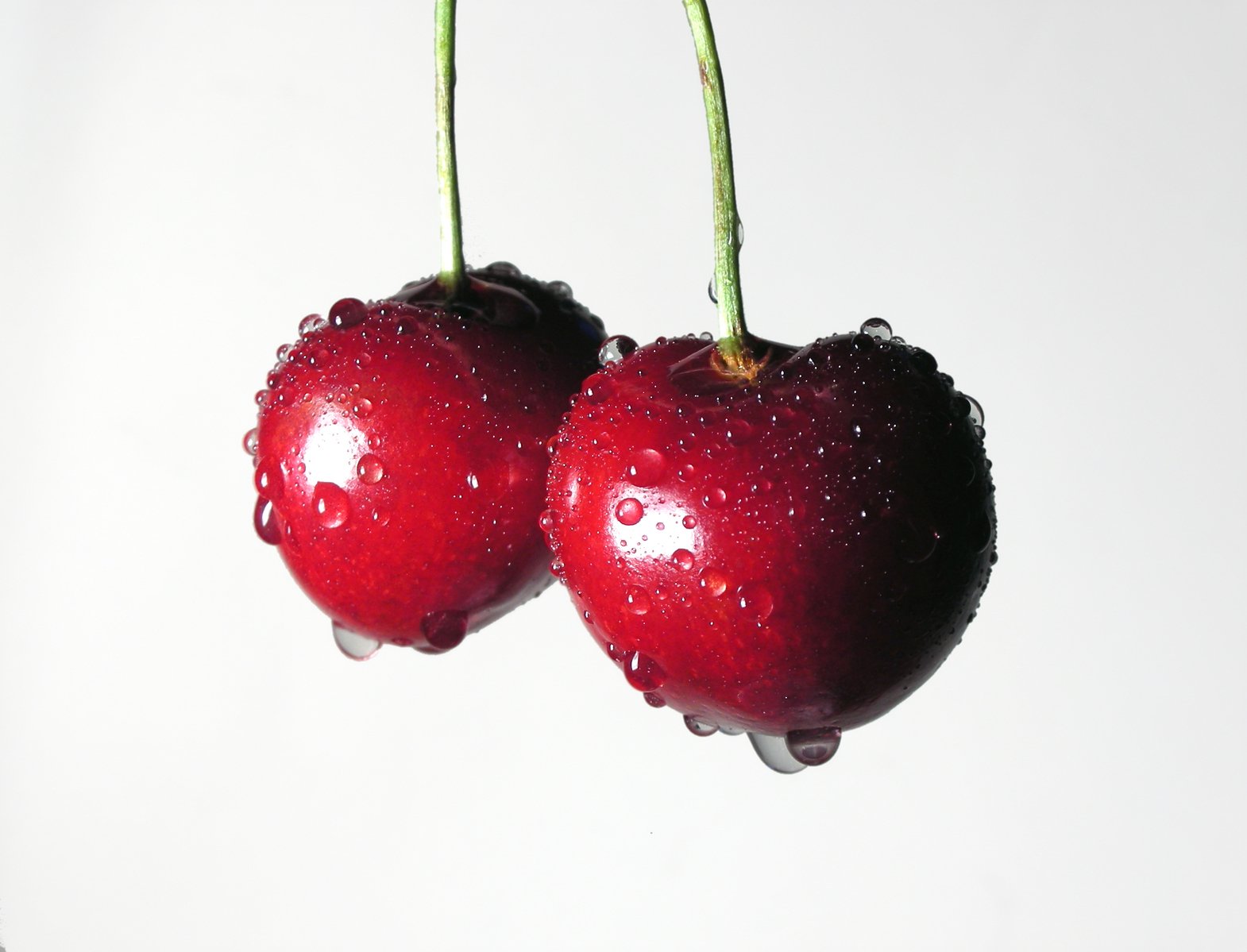 two cherries hanging from a vine in the air