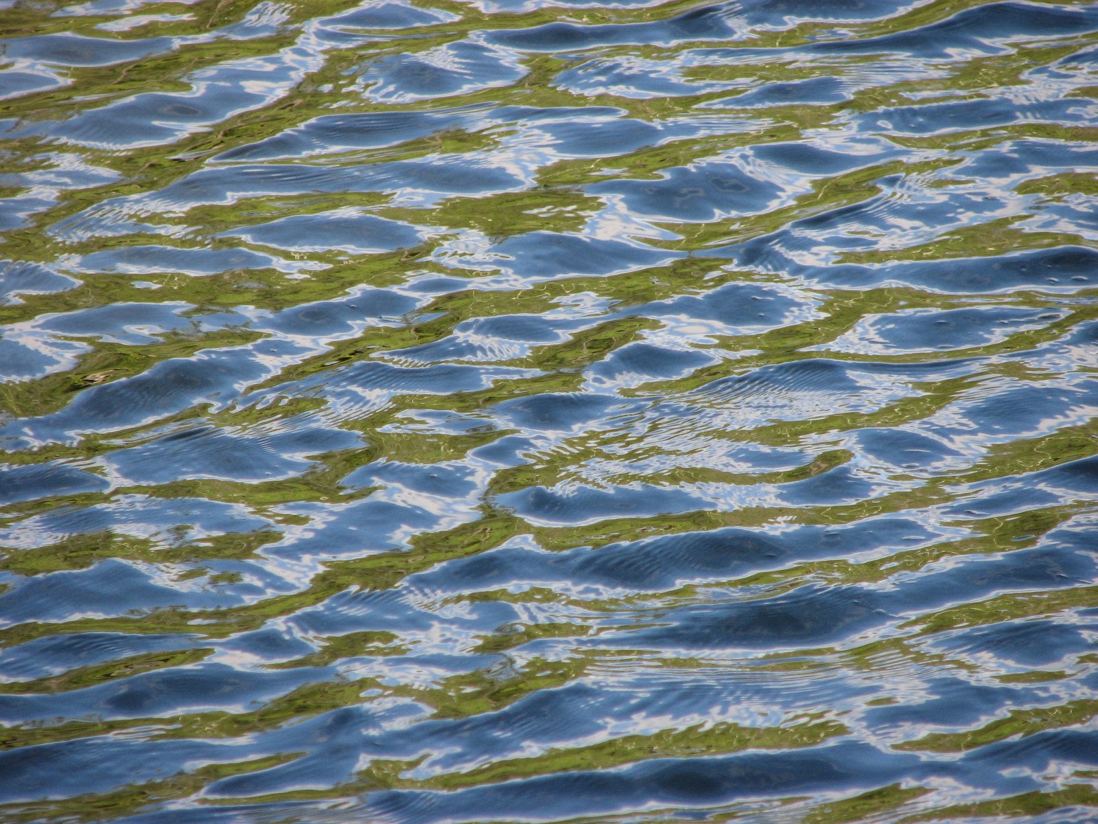 a closeup s of water from above