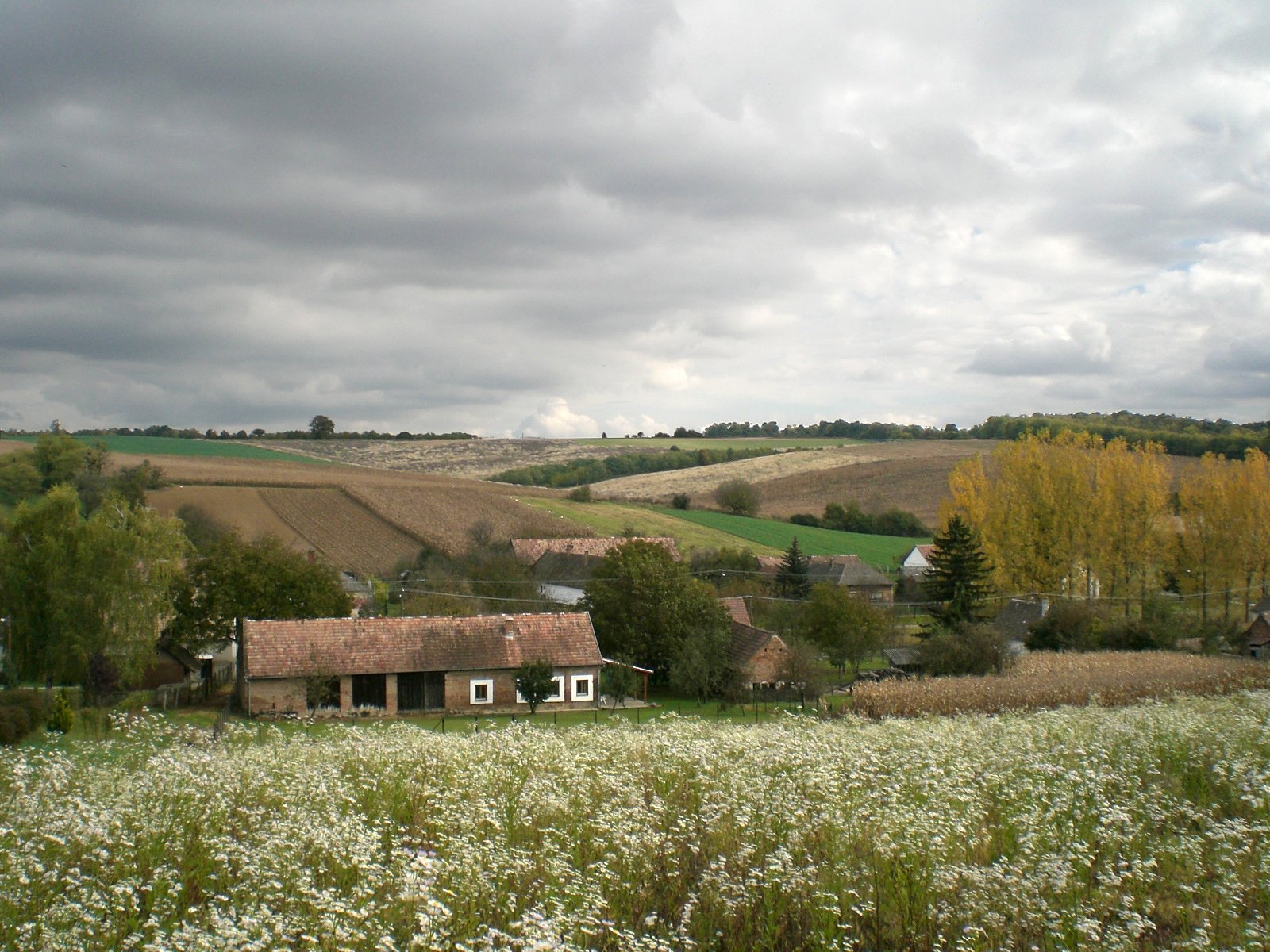 small white house in a field of crops under a stormy sky