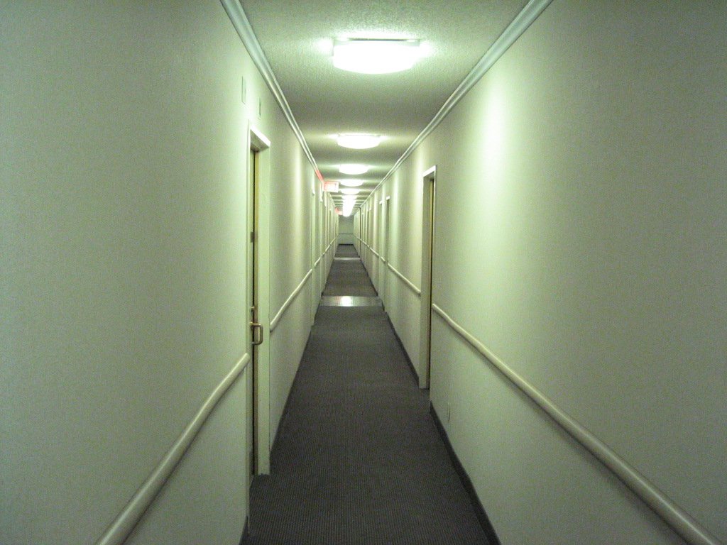 this is a hallway of some sort with no one going down