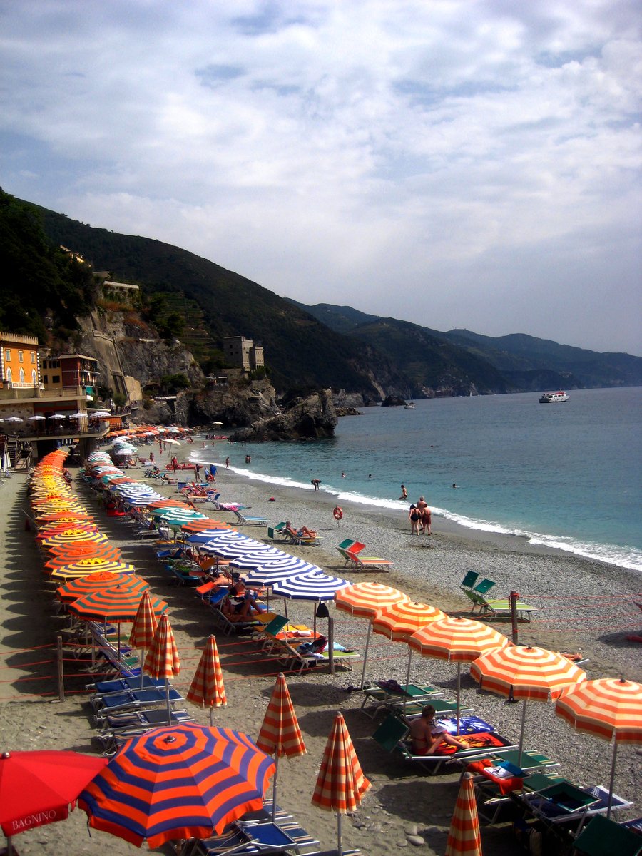 umbrellas line a crowded sandy beach during a sunny day