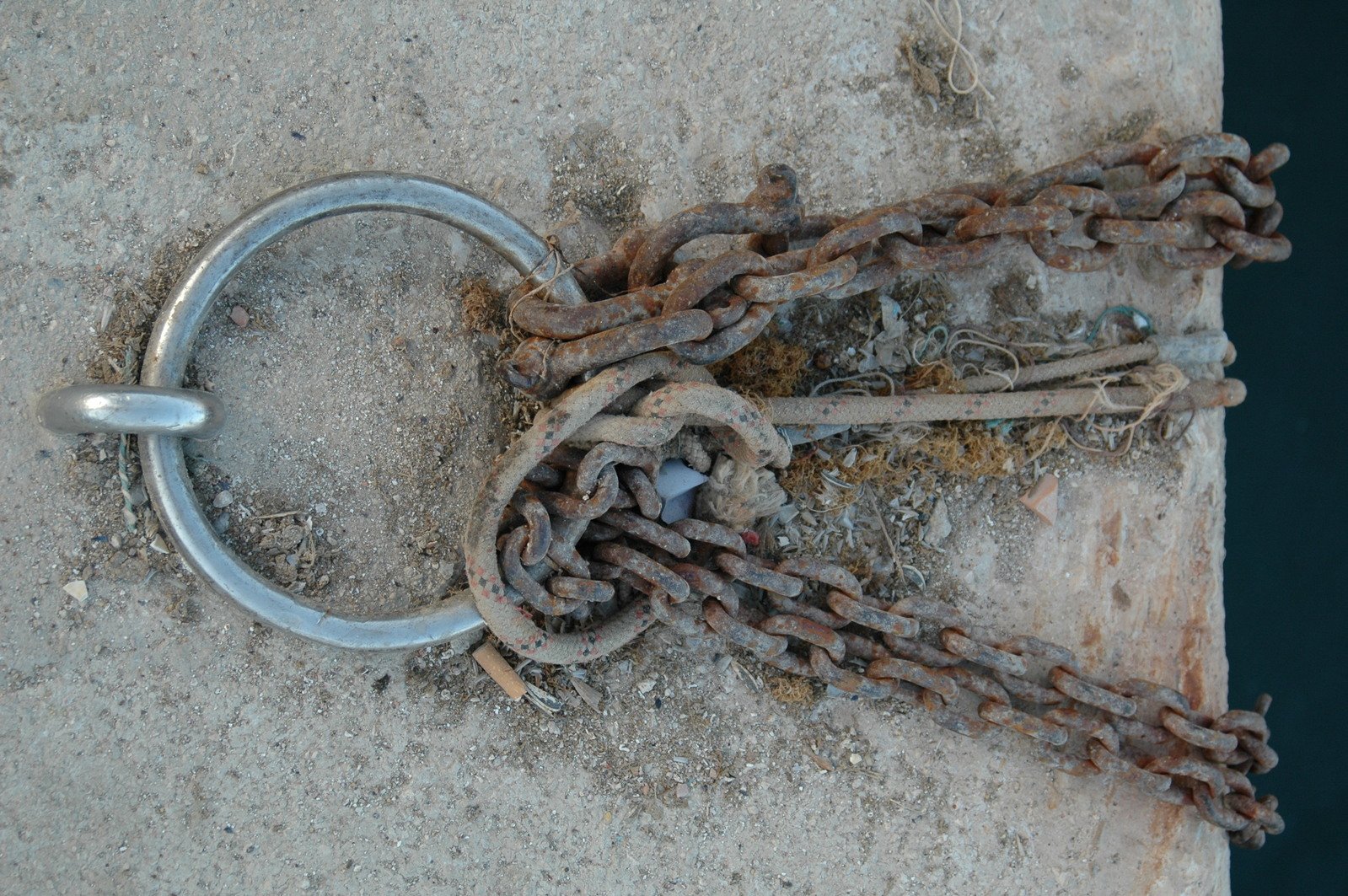 an old silver link ring laying in the sand